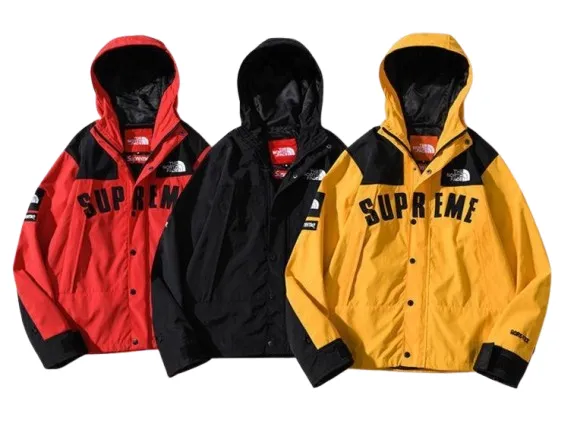 Supreme x The North Face Arc Logo Mountain Parka SS19